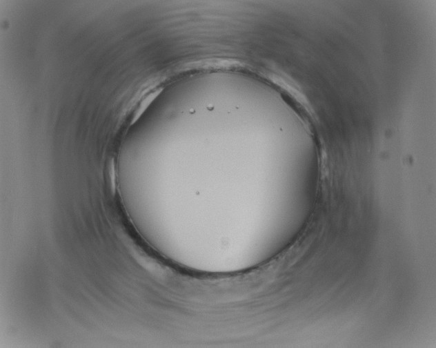 X0000075870013200610062014