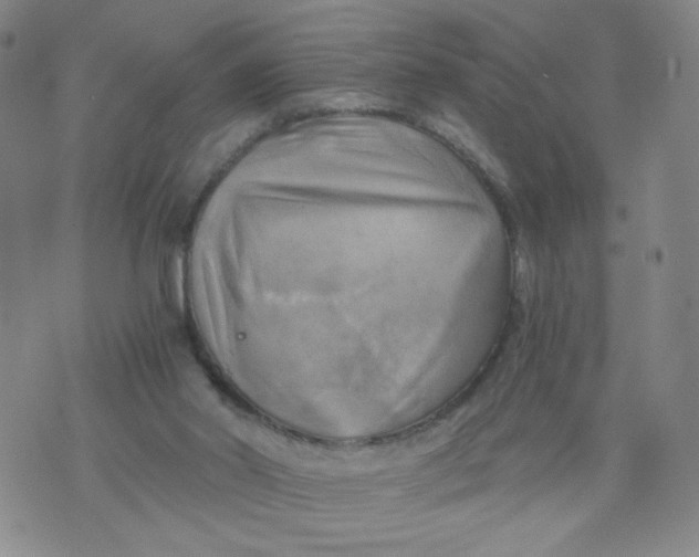 X0000075870014200610062014