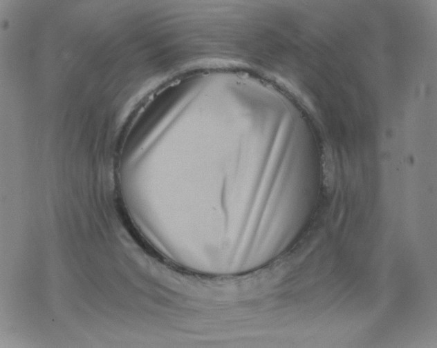 X0000075870015200610062014