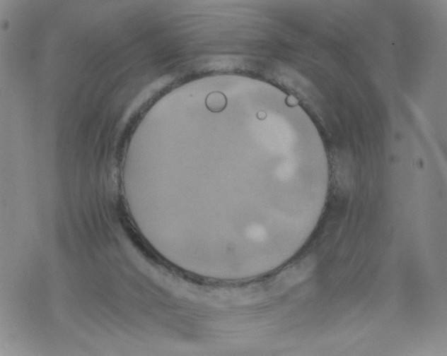 X0000075870016200610062014