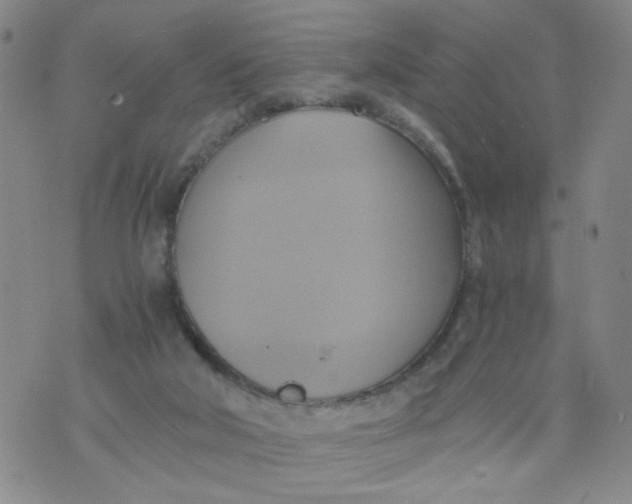 X0000075870018200610062014