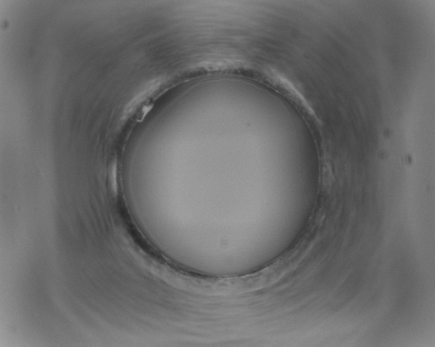 X0000075870019200610062014