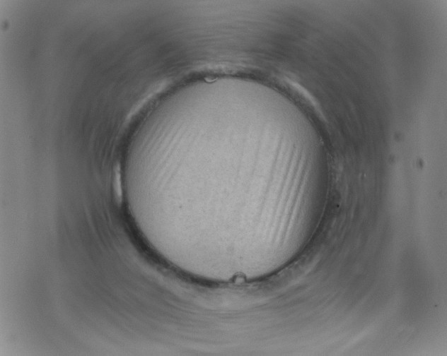 X0000075870020200610062014