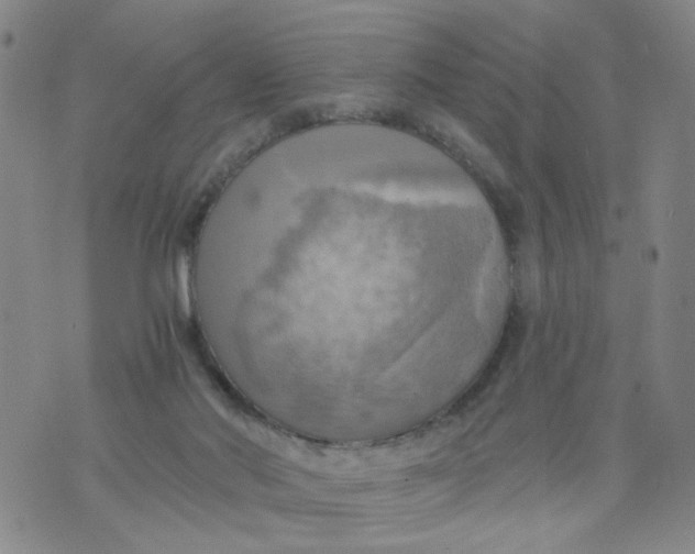 X0000075870022200610062014