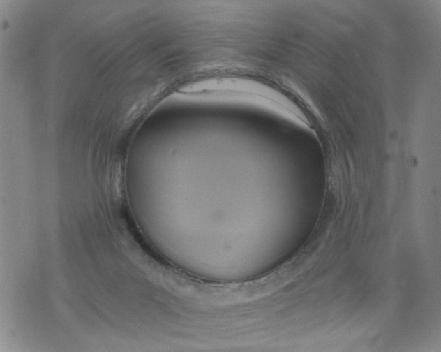 X0000075870023200610062014