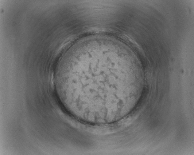 X0000075870024200610062014