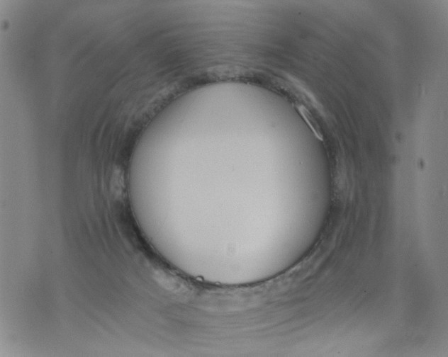 X0000075870025200610062014