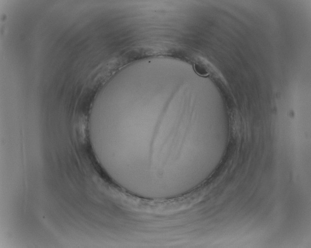 X0000075870026200610062014