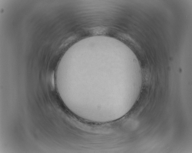 X0000075870028200610062014