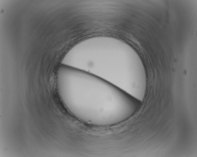 X0000075870029200610062014