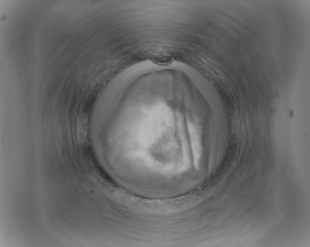 X0000075870030200610062014