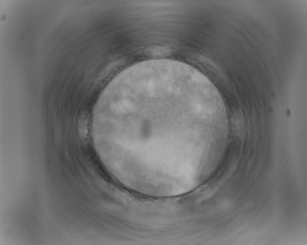 X0000075870032200610062014