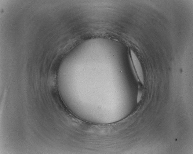 X0000075870033200610062014