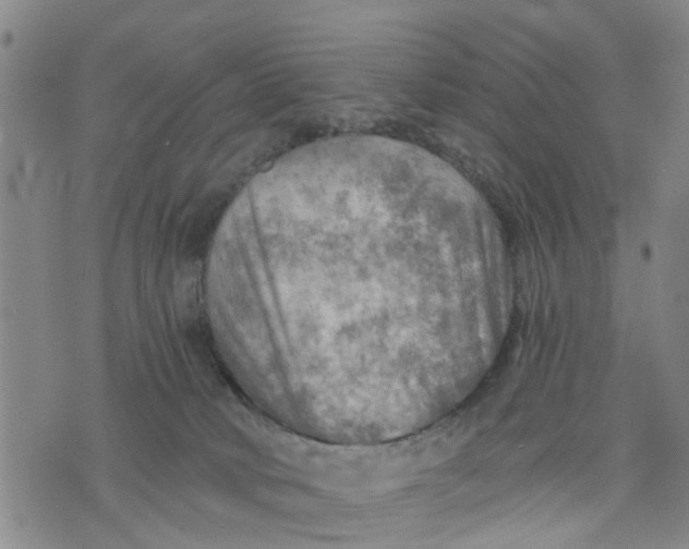 X0000075870034200610062014