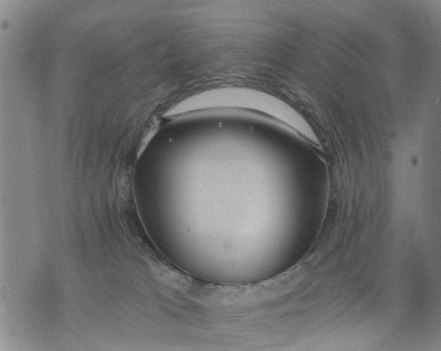 X0000075870037200610062014