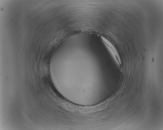 X0000075870039200610062014