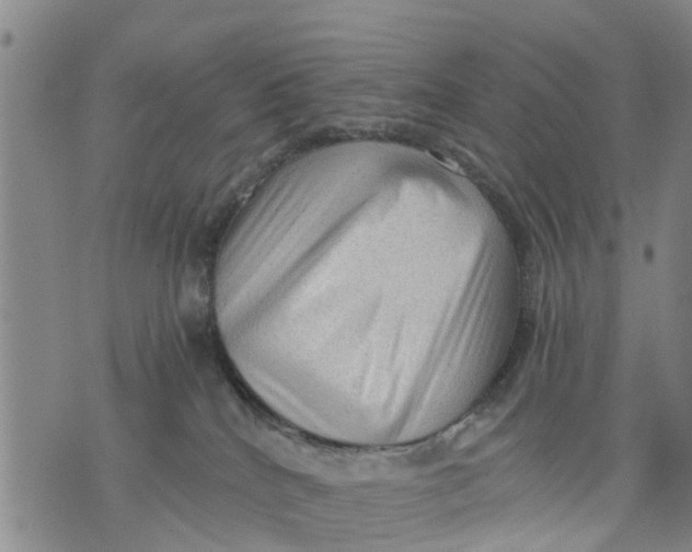 X0000075870040200610062014