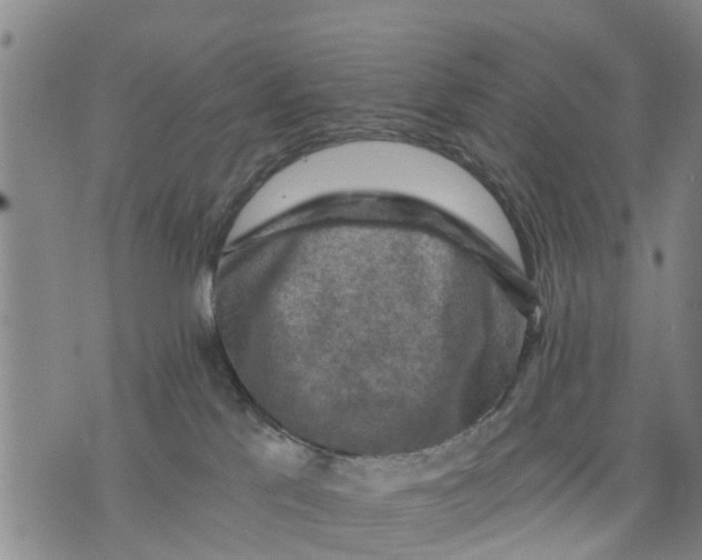 X0000075870041200610062014