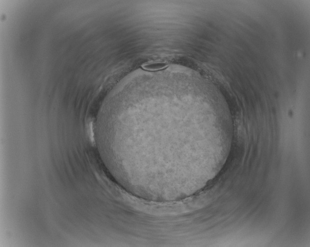 X0000075870042200610062014