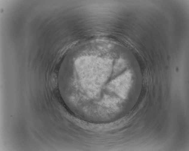 X0000075870043200610062014