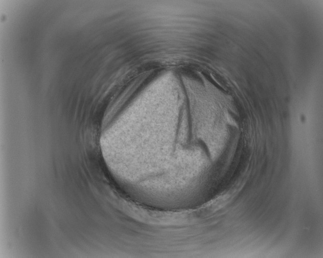 X0000075870044200610062013