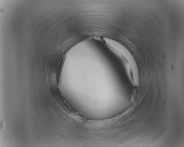 X0000075870045200610062013