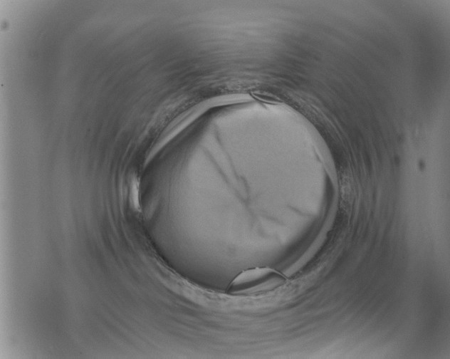 X0000075870046200610062013