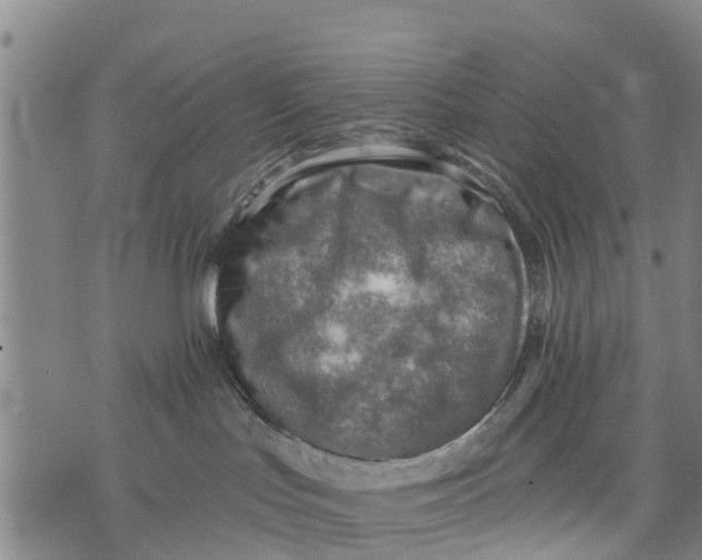 X0000075870047200610062013