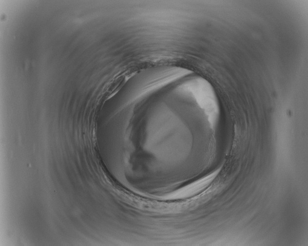 X0000075870048200610062013