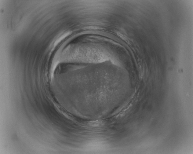 X0000075870050200610062013