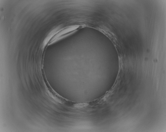 X0000075870051200610062013