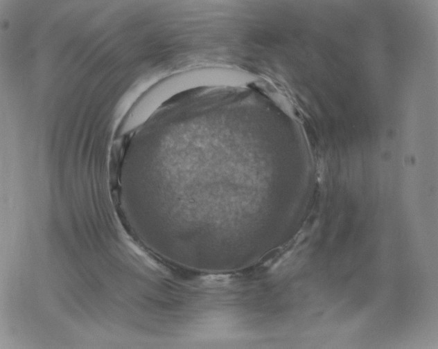 X0000075870052200610062013