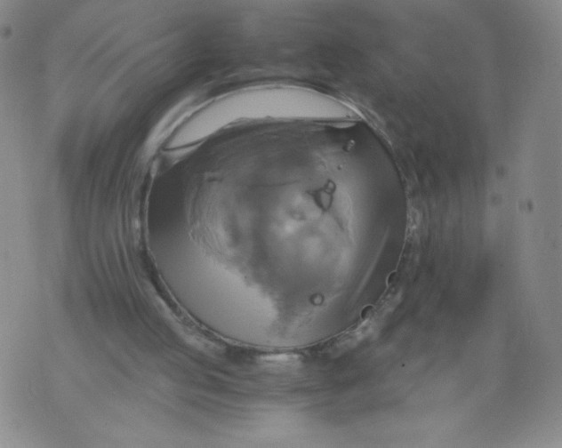 X0000075870053200610062013