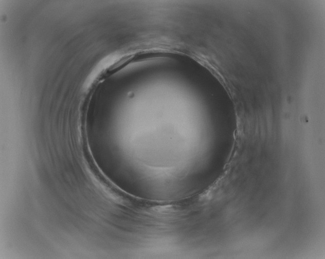 X0000075870054200610062013