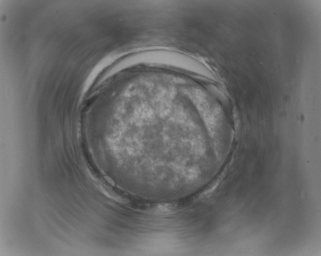 X0000075870056200610062013