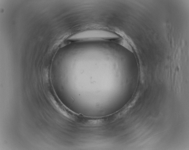 X0000075870057200610062013