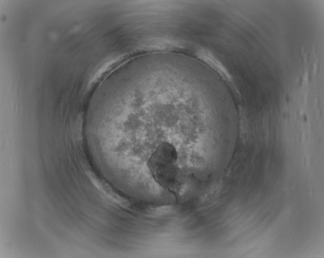 X0000075870058200610062013