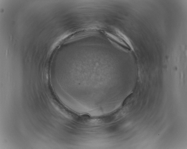 X0000075870059200610062013