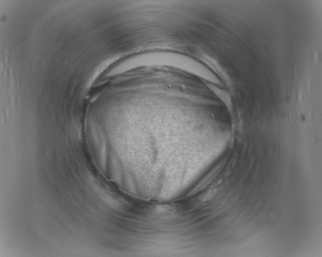 X0000075870060200610062013