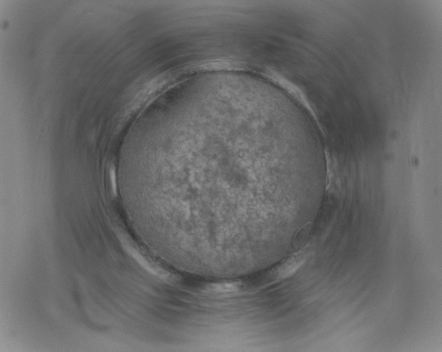 X0000075870061200610062013