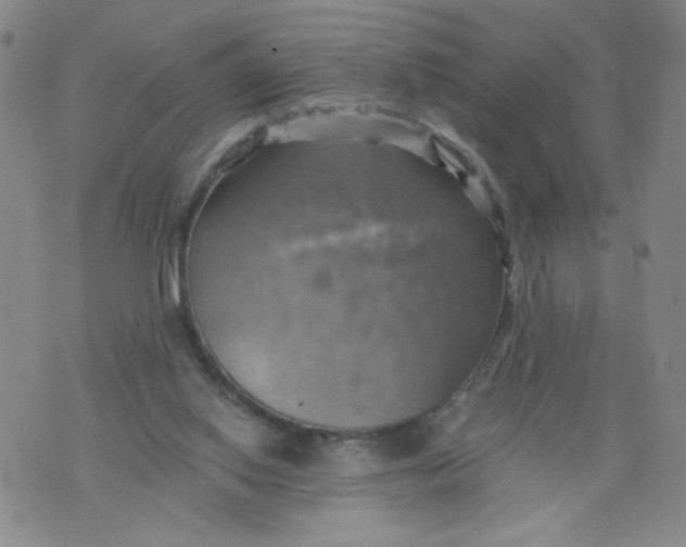 X0000075870062200610062013