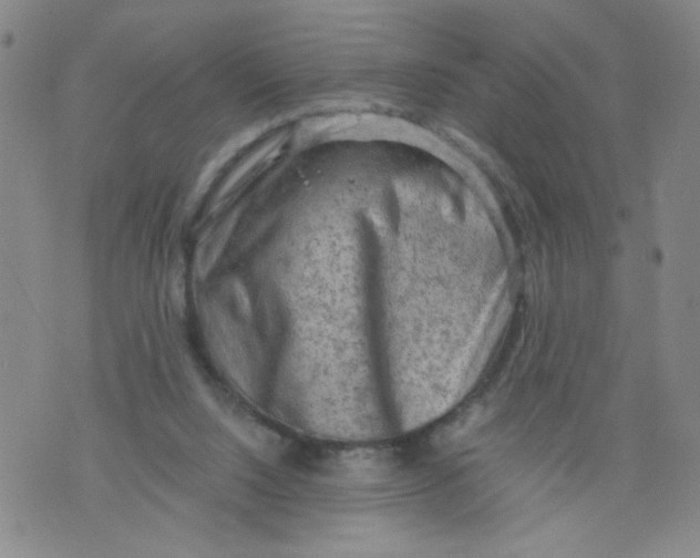 X0000075870064200610062013