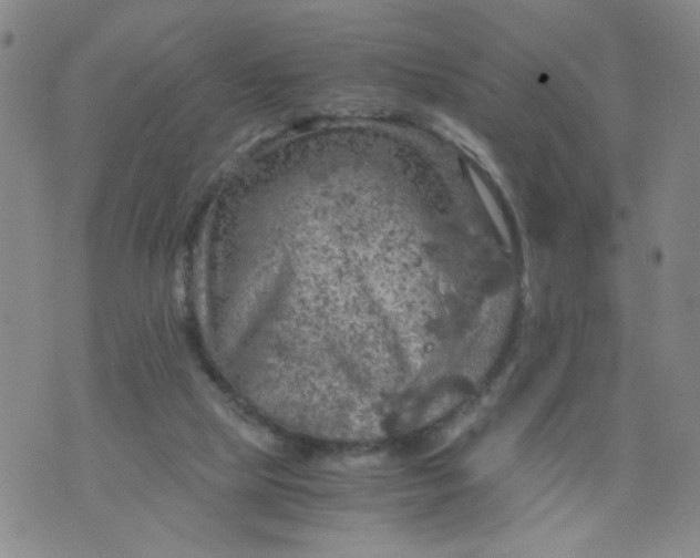 X0000075870065200610062013