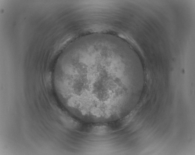 X0000075870066200610062013