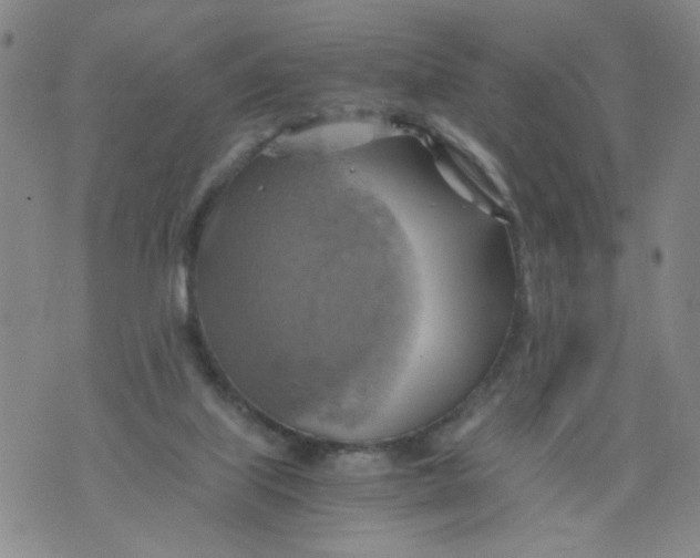 X0000075870067200610062013