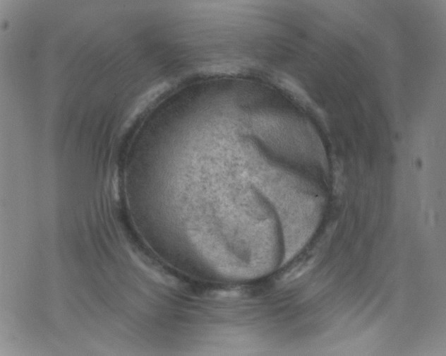 X0000075870068200610062013