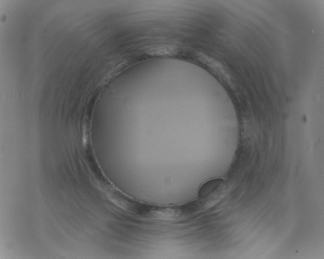 X0000075870069200610062013