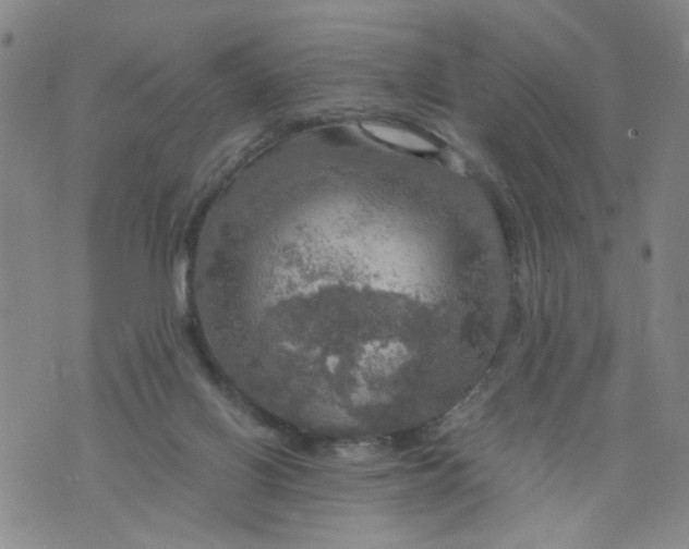 X0000075870070200610062013