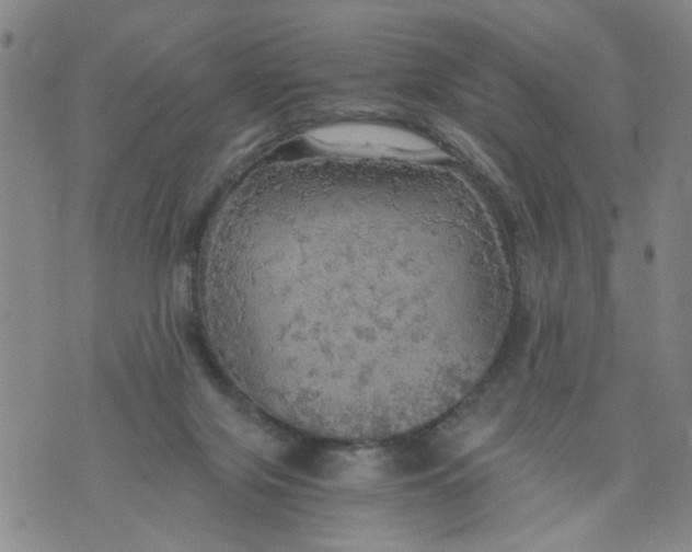 X0000075870071200610062013