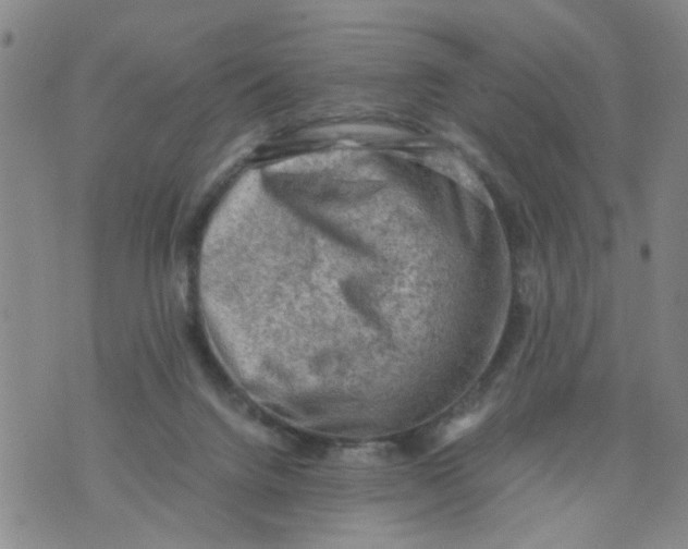 X0000075870072200610062013